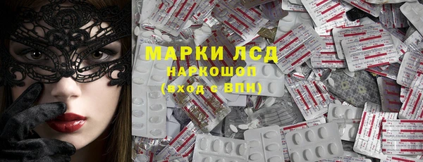 ПСИЛОЦИБИНОВЫЕ ГРИБЫ Дмитров