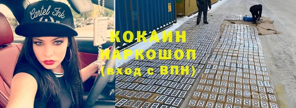 ПСИЛОЦИБИНОВЫЕ ГРИБЫ Дмитров