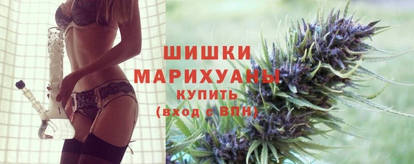 ПСИЛОЦИБИНОВЫЕ ГРИБЫ Дмитров