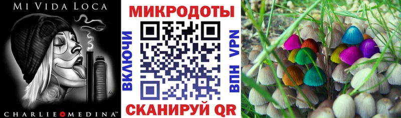 Купить Невельск Галлюциногенные грибы Cubensis